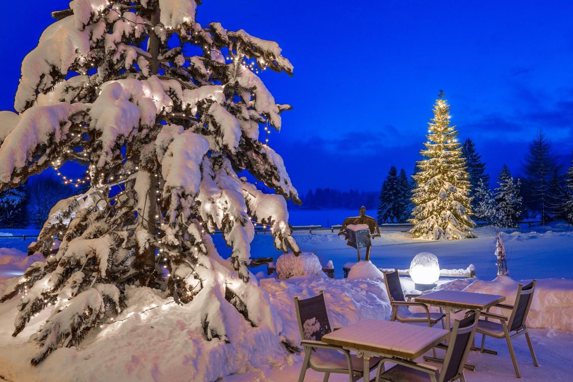Hotel Seehof Вальбелла Экстерьер фото